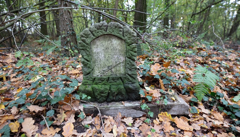 Cmentarz Lauterbach&oacute;w w Wilczynie