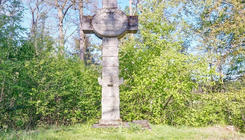 Gr&oacute;b Kisslinga w Bagnie