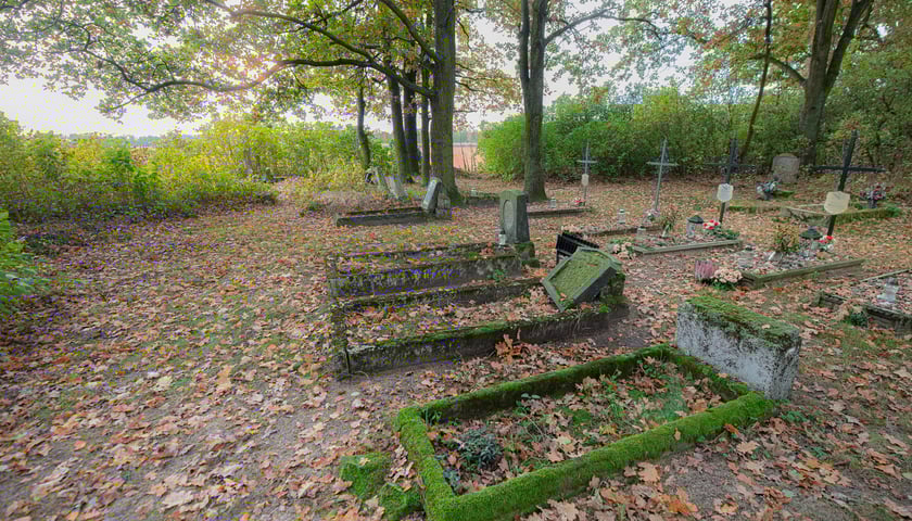 Cmentarz ewangelicki w Grabownicy - w środku pola, w niewielkim zagajniku