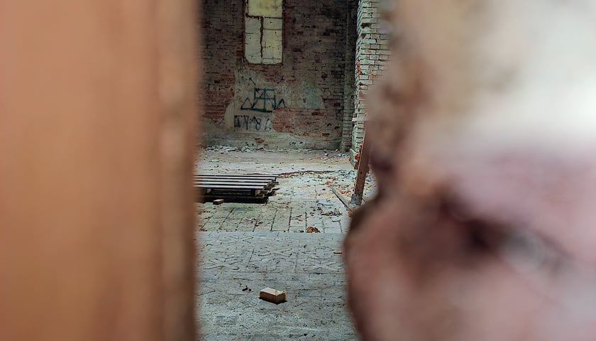 Grobowiec Lauterbach&oacute;w w Wilczynie - wnętrze