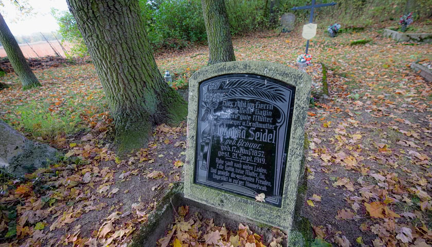 Cmentarz ewangelicki w Grabownicy - w środku pola, w niewielkim zagajniku