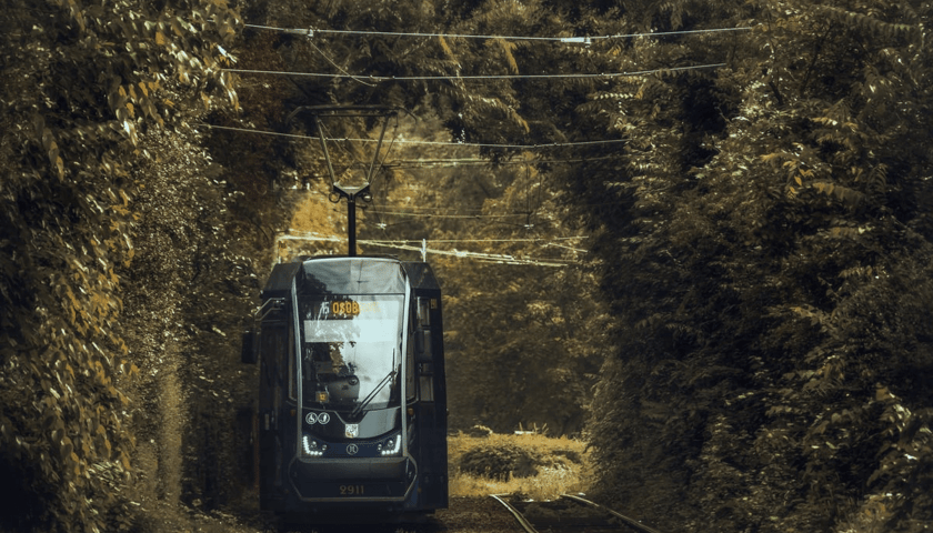 Zdjęcie laureata konkursu MPK na zdjęcie do kalendarza na rok 2025