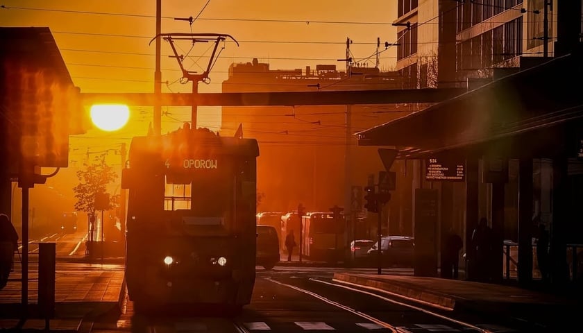 Jedno ze zdjęć wyróżnionych w ubiegłorocznym konkursie MPK Wrocław 