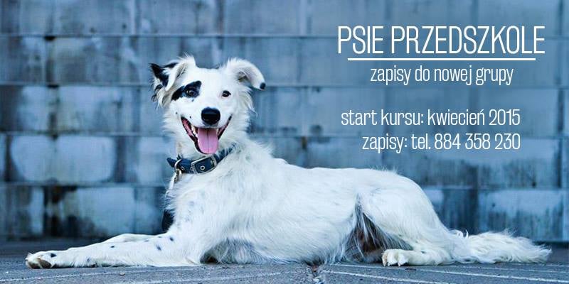 Ruszają zapisy do psiego przedszkola