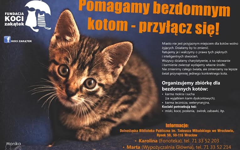 Zbiórka dla kociaków w bibliotece
