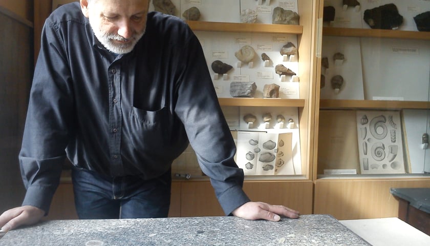 Granit z Przejścia Świdnickiego trafił do muzeum