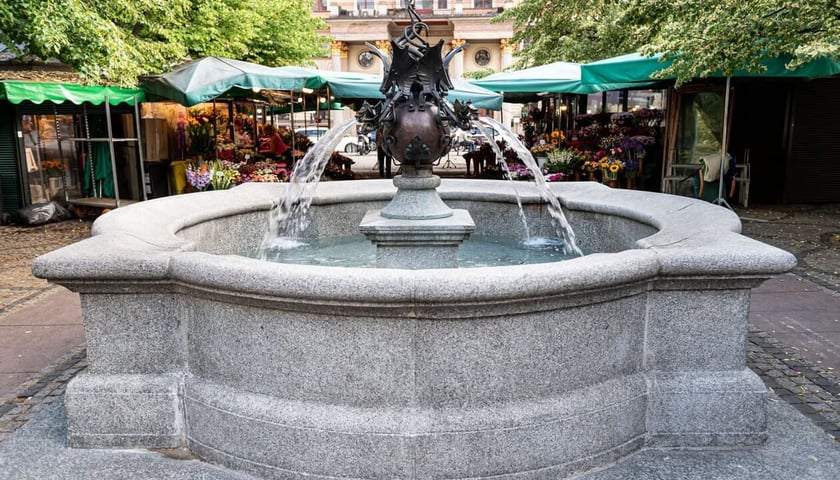 Fontanna Smoki na placu Solnym