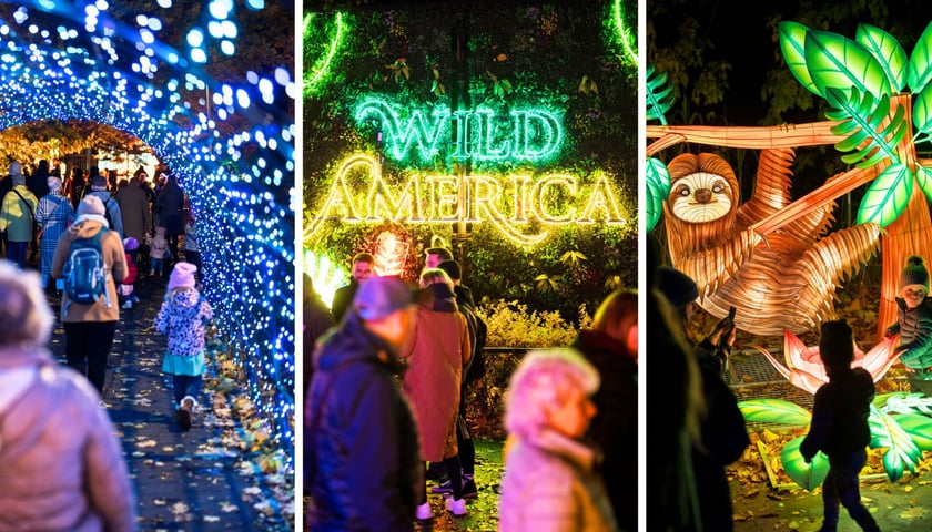 Na zdjęciu z lewej tunel świetlny, w środku podświetlona nazwa wystawy „Wild America”, z prawej podświetlony leniwiec trójpalczasty