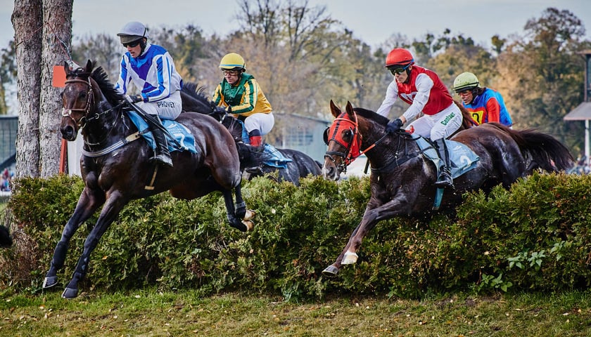 Zakończenie sezonu na Partynicach. Tor Wyścigów Konnych liczy na rekord