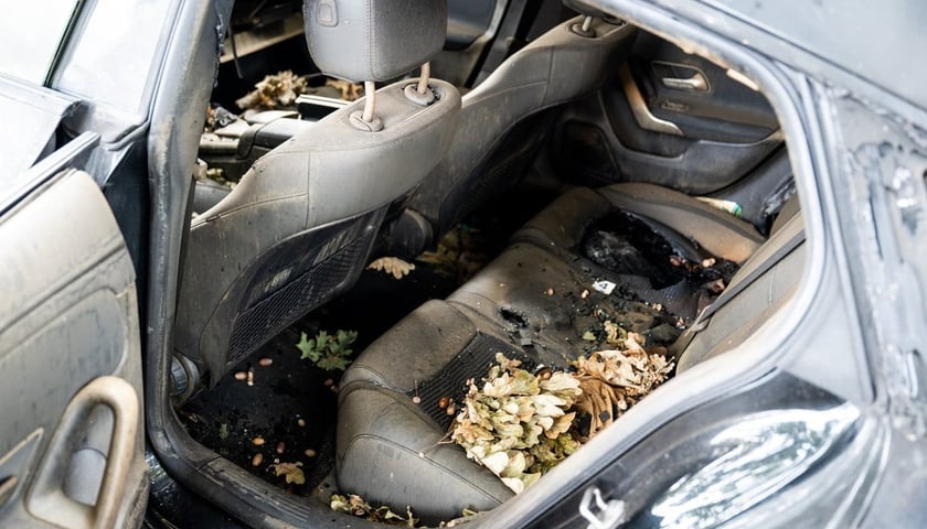 Usuwanie wraków samochodów we Wrocławiu