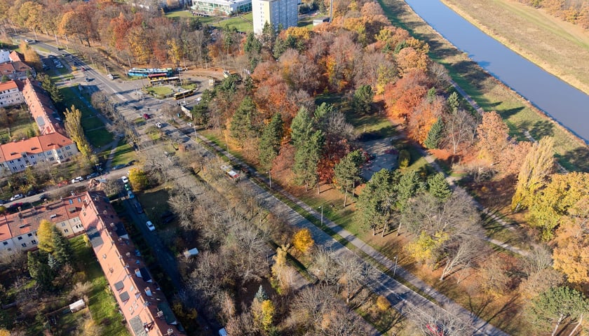 Widok na przyszłą trasę autobusowo-tramwajową na Swojczyce