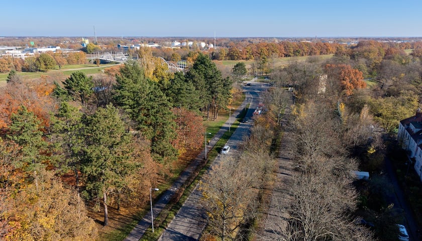 Widok na przyszłą trasę autobusowo-tramwajową na Swojczyce