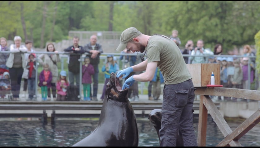 Praca w ZOO dla pasjonatów