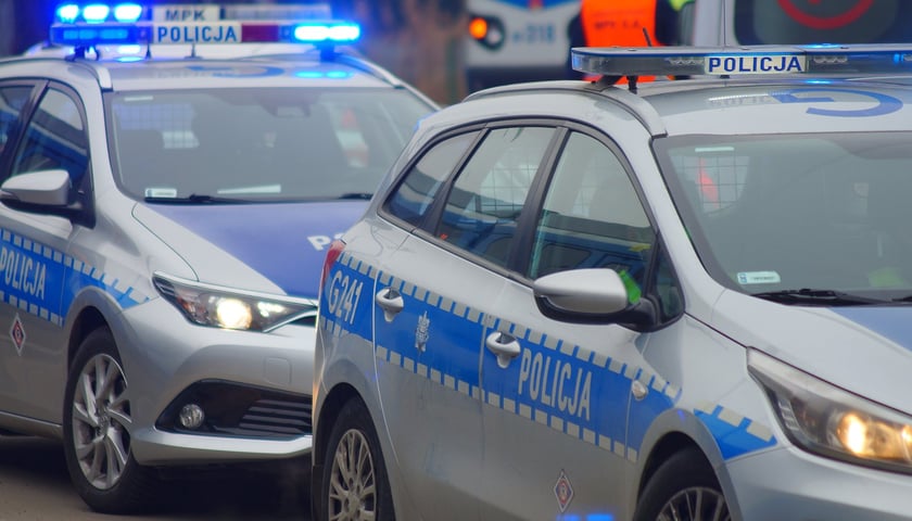 policyjne radiowozy, zdjęcie ilustracyjne