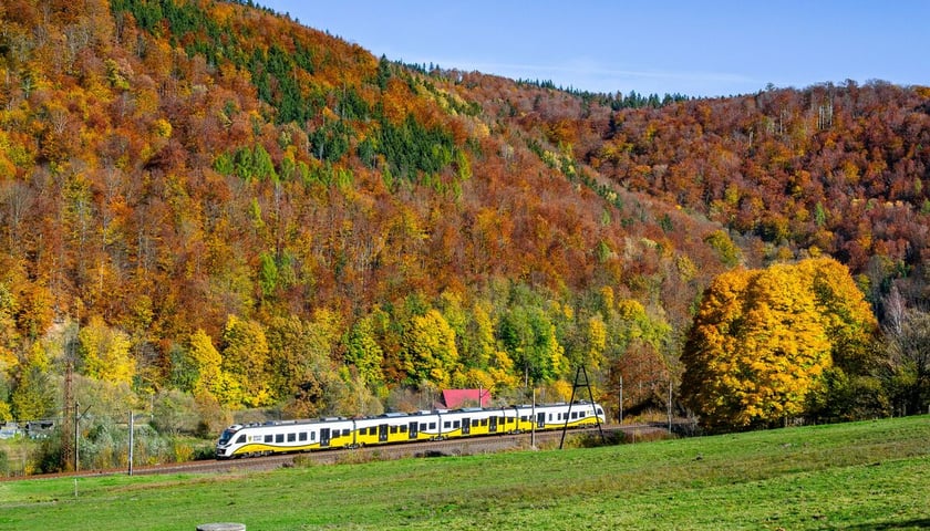 Pociąg Kolei Dolnośląskich jedzie trasą w okolicy Janowic Wielkich