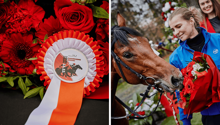 Zestawienie dwóch zdjęć: z lewej biało-czerwony kotylion i kwiaty, z prawej kobieta i koń z głową w kwiatach