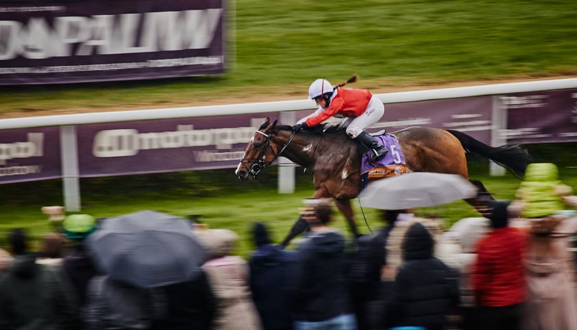 Ostatni dzień wyścigowy na Partynicach
