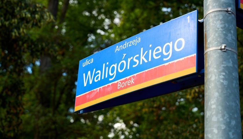 Zdjęcie tabliczki z nazwą ulicy Waligórskiego