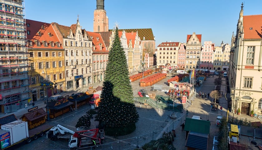 Choinka na Rynku 19 listopada 2025