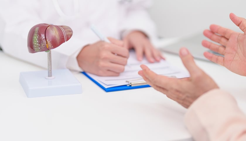 Na zdjęciu model wątroby oraz sylwetki lekarza i pacjenta. Zdjęcie ilustracyjne