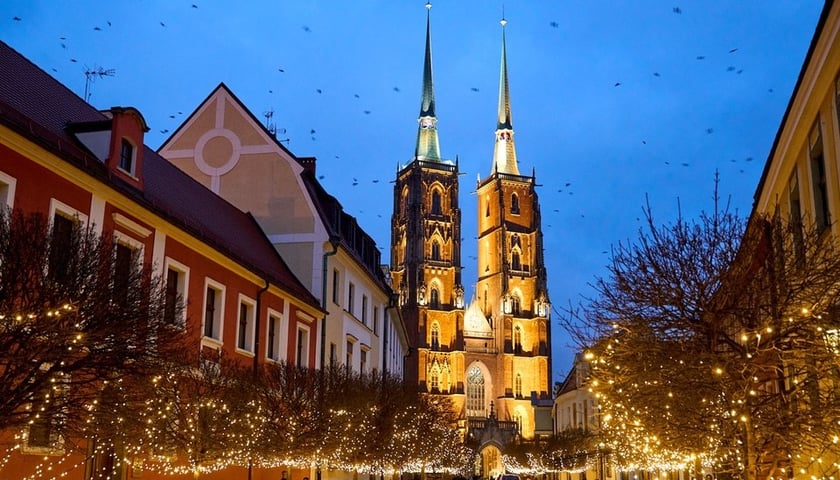 Oświetlone drzewa na Ostrowie Tumskim na ulicy prowadzącej do katedry, grudzień 2024