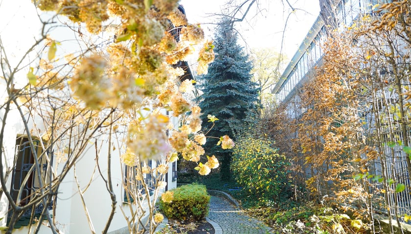 Wpisana do rejestru zabytków willa pod adresem Powstańców Śląskich 202, listopad 2025