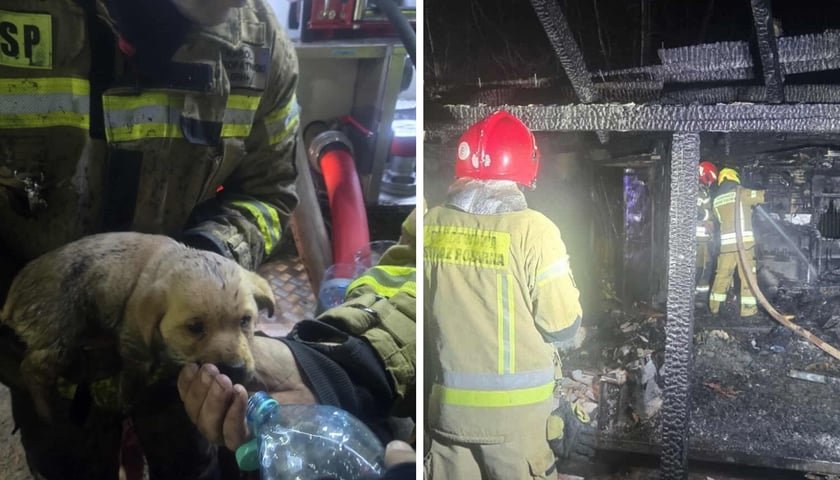 Uratowany pies i strażacy podczas akcji