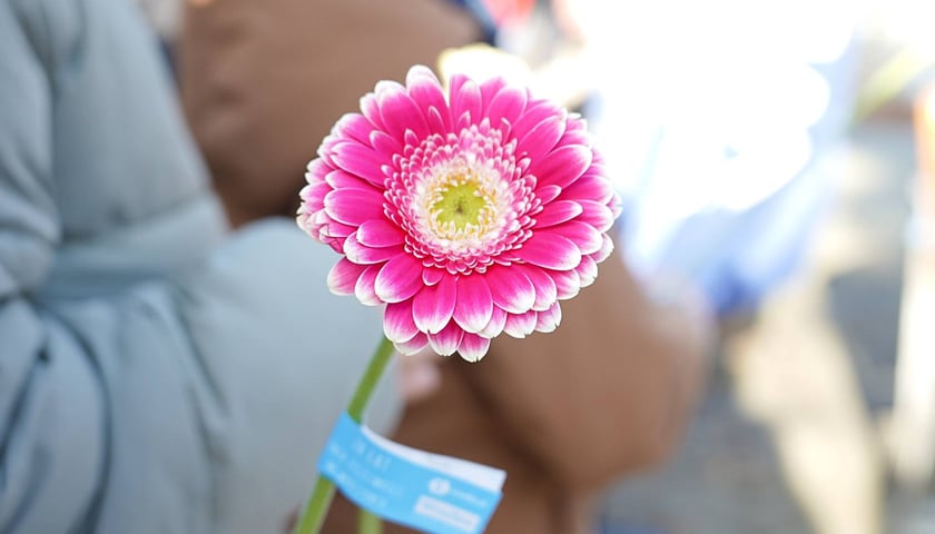 Odsłonięcie Ławeczki Życzliwości na bulwarze Xawerego Dunikowskiego, 21 listopada 2025