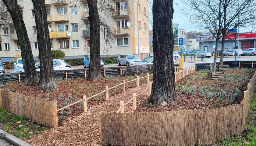 skwer przy ulic Pszennej i Jęczmiennej