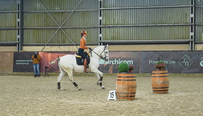 Na Partynicach rozgrywano Mistrzostwa Polski w Working Equitation.