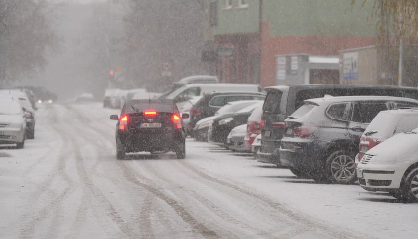 Pierwszy śnieg we Wrocławiu, 24.11.2025