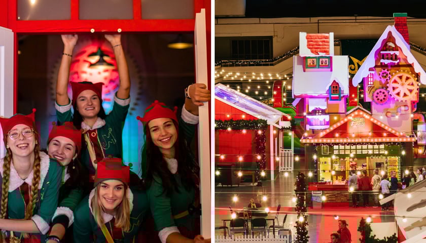 Wielka Fabryka Elfów