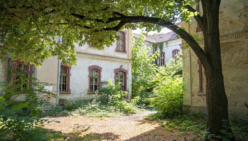 Na zdjęciu widoczne podwórko otoczone budynkami dawnych koszar wojskowych, krzewy i drzewo./ The photo shows a yard surrounded by buildings of the former military barracks, bushes and a tree.