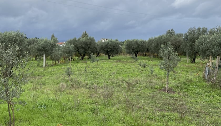 Na zdjęciu widoczny na pierwszym planie obszar pokryty trawą. W tle drzewa. Nad nim pochmurne niebo./ The photo shows a plowed agricultural plot in the foreground. Behind it are fields separated by low greenery. In the background are town buildings, mountains, and a cloudy sky.