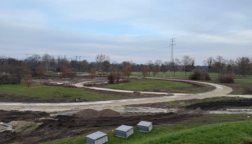 Rewitalizacja na Górce Szczepińskiej