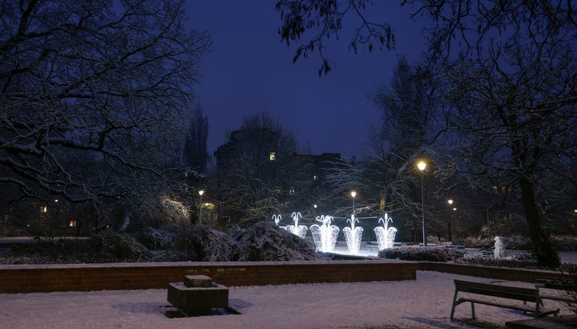 Rozświetlona fontanna w Parku Węgrzynowskiego