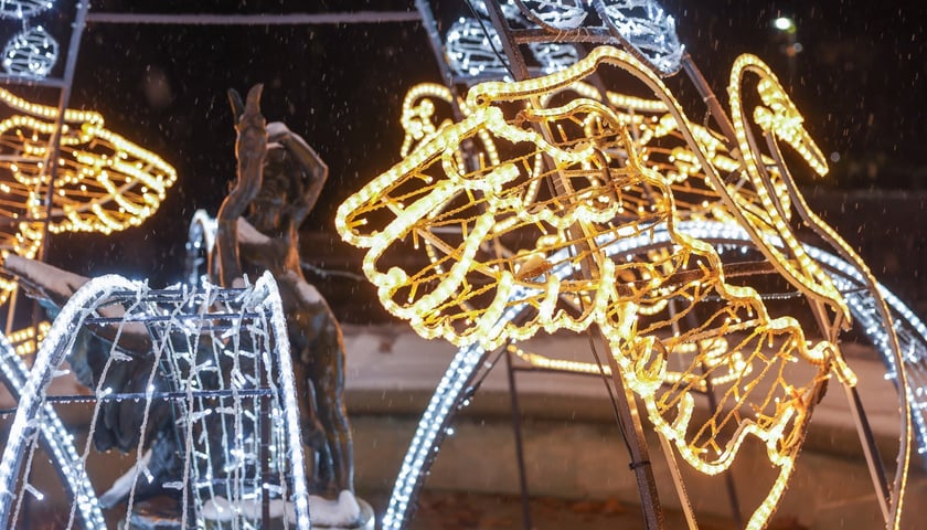 Fontanna w Parku Staromiejskim