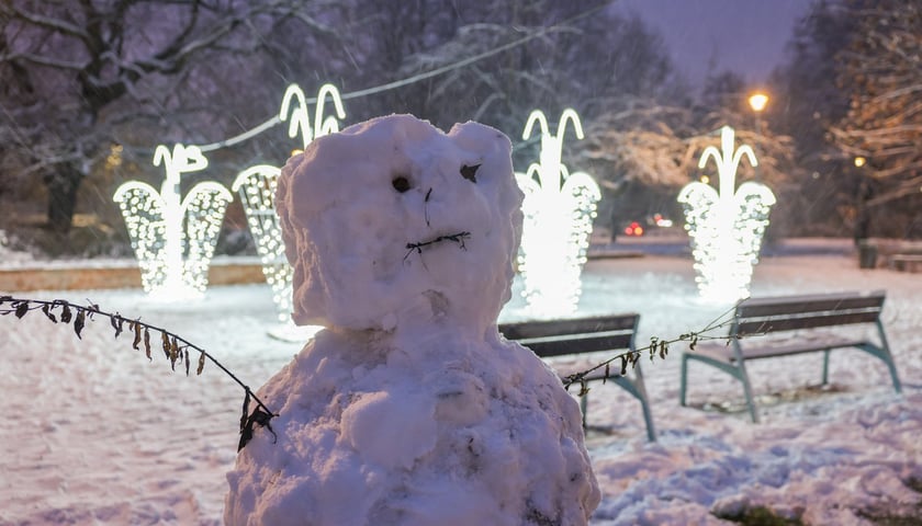Rozświetlona fontanna w Parku Węgrzynowskiego