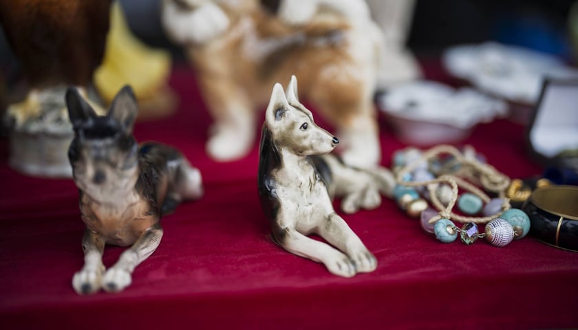 Giełda Staroci pod Iglicą przy Hali Stulecia we Wrocławiu 29 listopada 2025