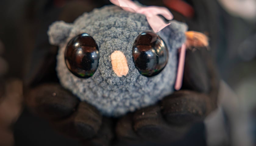 Mikołajki 2025. Pomysły na prezent z wrocławskiego jarmarku