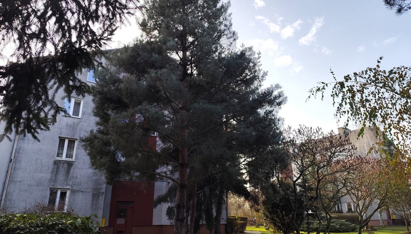 <p>Dachy na Maślicach i w Leśnicy przejdą gruntowne remonty</p>