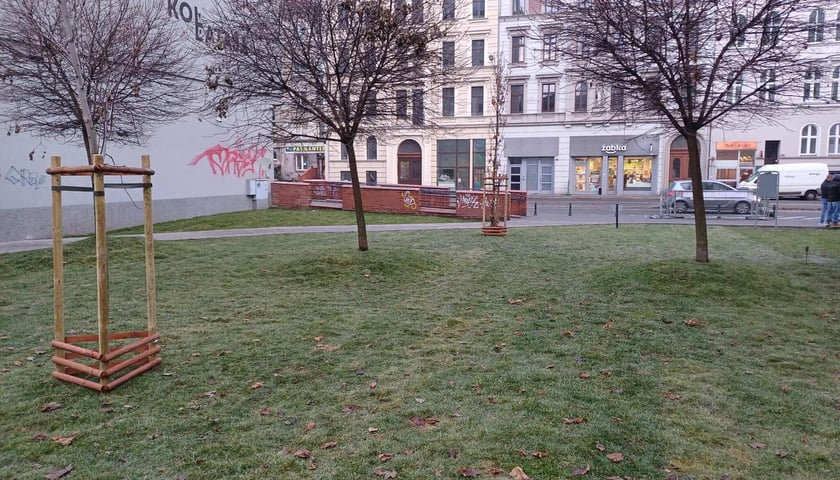 skwer przy Mezonetowcu u zbiegu ulic Rejtana i Kołłątaja