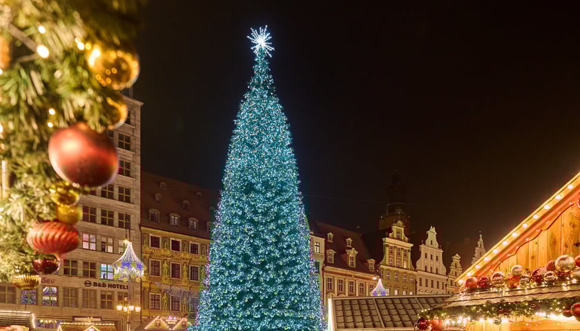 <p>Rozświetlona choinka</p>