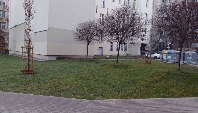 Skwer przy Mezonetowcu u zbiegu ulic Rejtana i Kołłątaja.