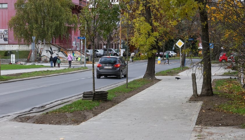 <p>Chodnik przy ul. Gubińskiej.</p>