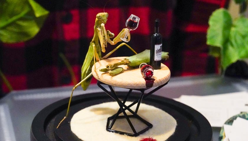 Targi Unikat&oacute;w w Auli NOT we Wrocławiu