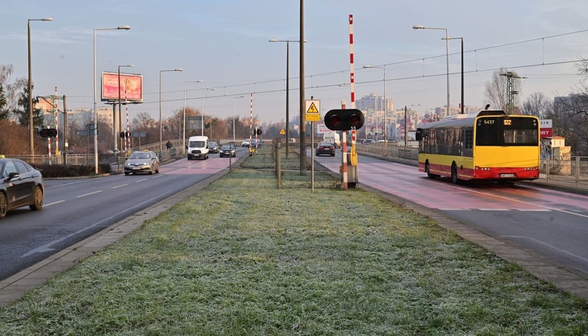 Na ulicy Strzegomskiej wydzielony buspas zostanie poprowadzony między istniejącymi jezdniami tu, gdzie obecnie jest trawnik, który widać na zdjęciu 