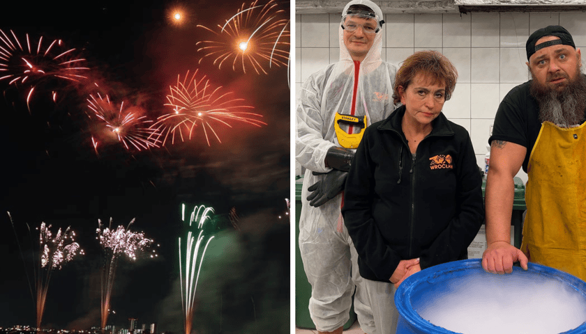 Kolaż 2 zdjęć, z lewej zdjęcie ilustracyjne, przedstawiające fajerwerki, z prawej gang z wrocławskiego zoo