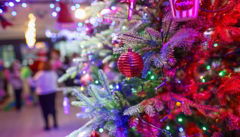 Paczki Dobrych Relacji w w siedzibie fundacji dla dzieci Zobacz Mnie przy ul. Bolkowskiej, 22 grudnia 2025