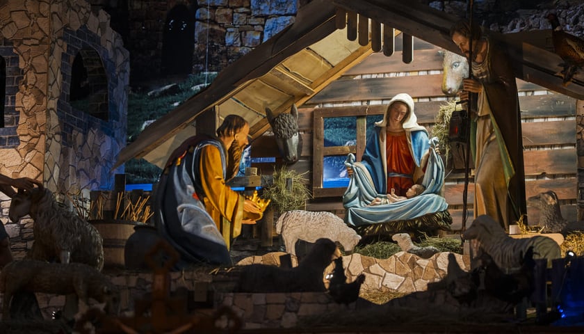 Szopka w kościele św. Antoniego na Karłowicach